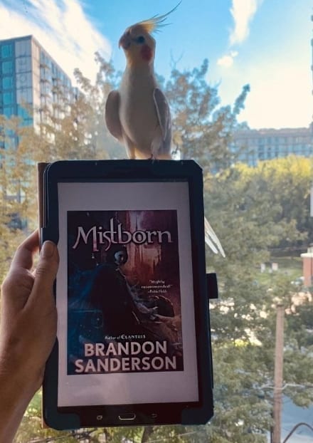 Summary for — “Mistborn” series by Brandon Sanderson