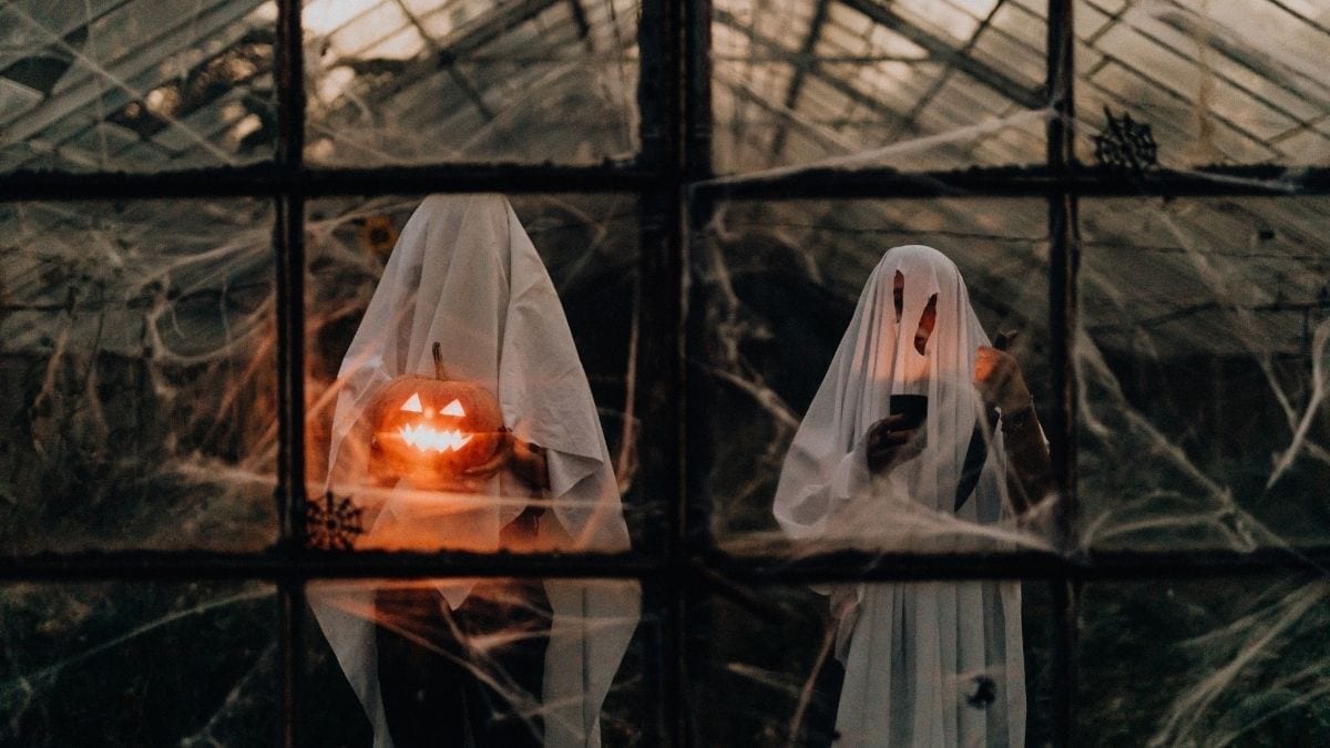 ghosts in a greenhouse