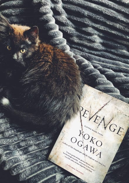 revenge-book-cover