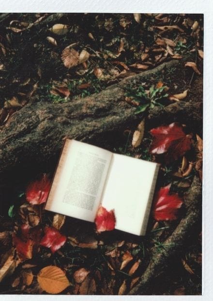 fall reading