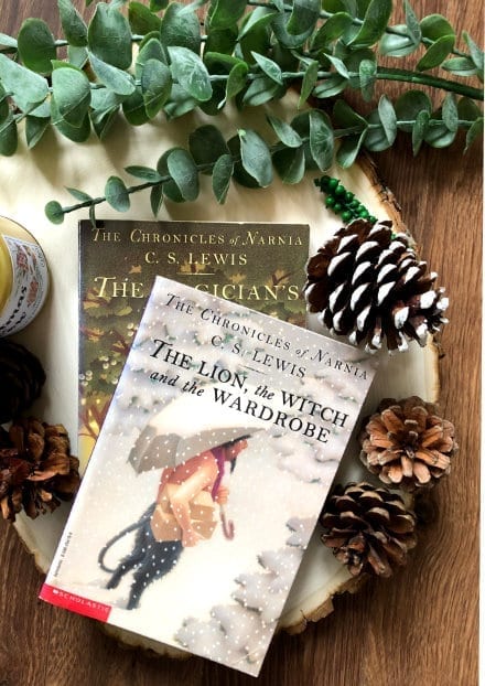 the lion the witch and the wardrobe book cover