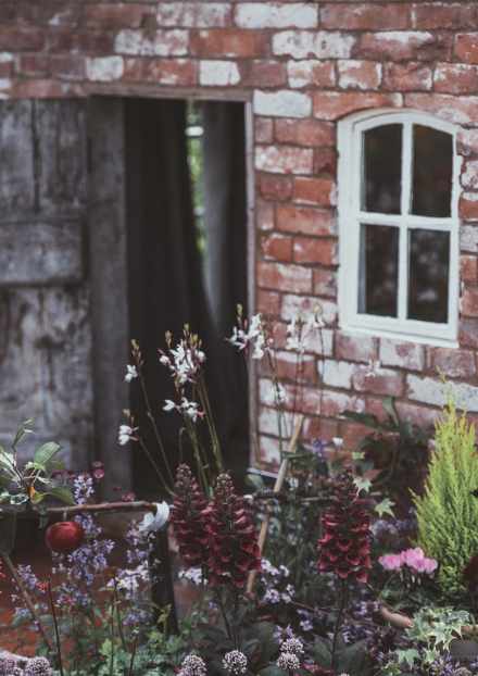 among-the-beasts-and-briars-house