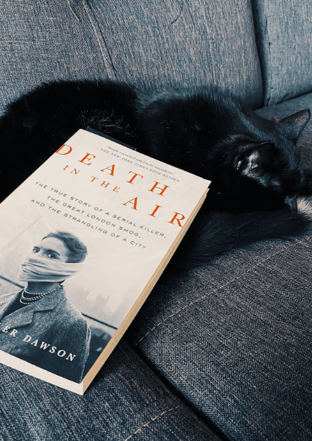 death-in-the-air-cover
