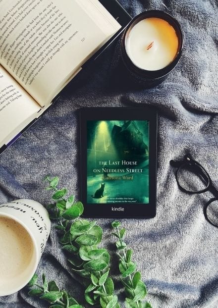 the last house on needless street book 1