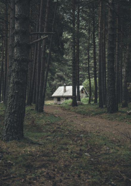 hansel-and-gretel-representation-folktale