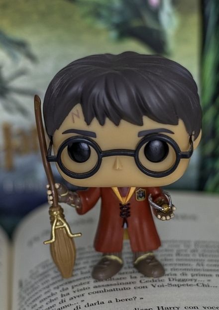 Harry Potter action figure with book background - Photo credit Maurygraf from Pixabay