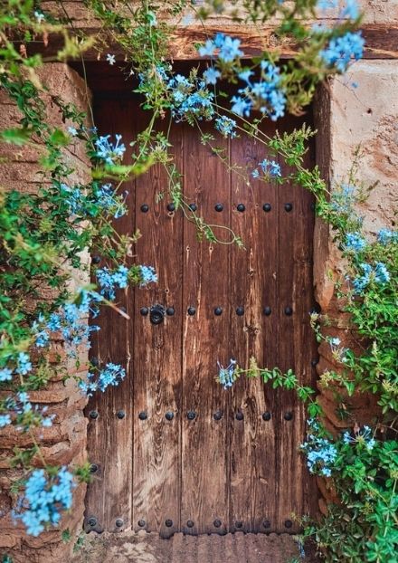 a-door-that-once-lead-somewhere-now-leads-somewhere-else