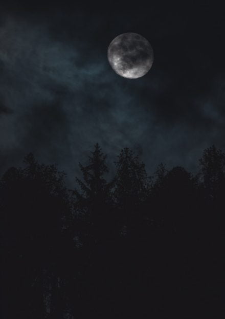 Atmosphere