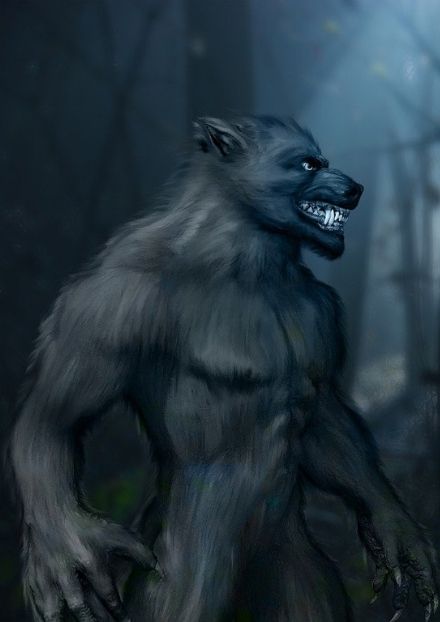 Werewolf in a dark forest