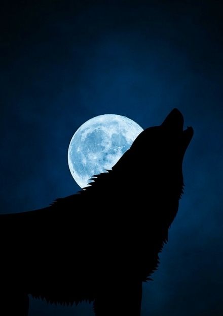 Wolf silhouette against a full moon backdrop