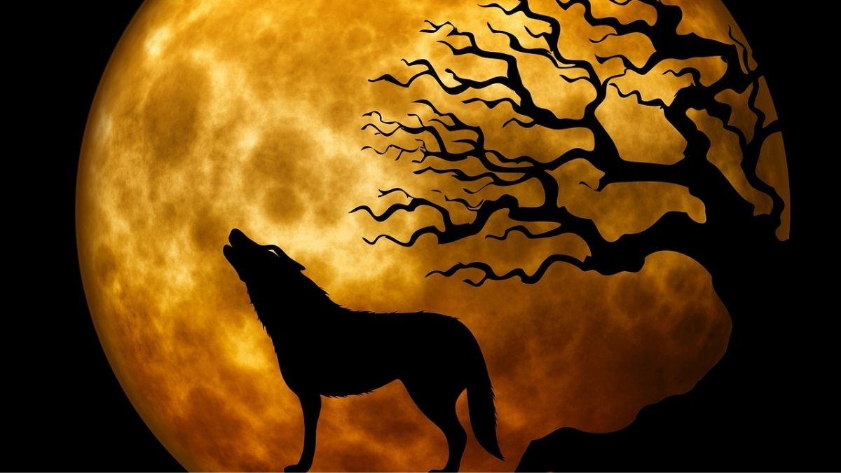 Wolf silhouette against a full moon
