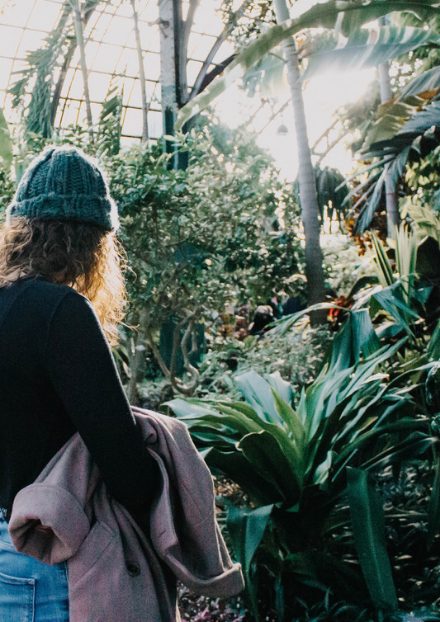 Embracing introversion