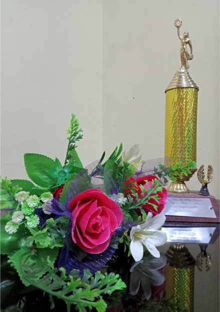 Miss Meteor trophy