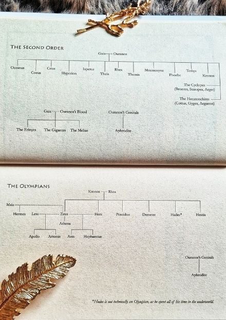 Family tree taken from Mythos: The Greek Myths Retold showing the second order of primordial beings and the Olympians
