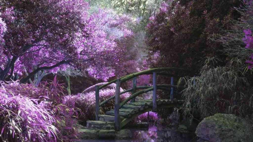 fae bridge feature