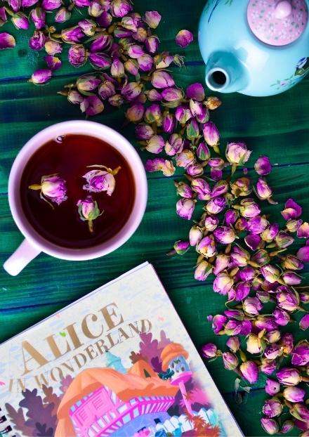 Alices Adventures in Wonderland by Lewis Carroll