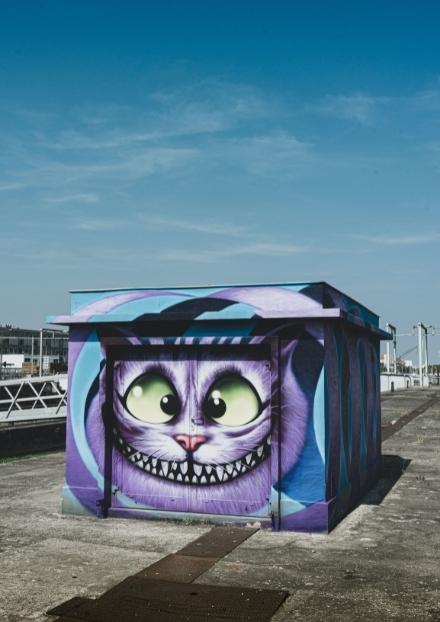 Cheshire cat