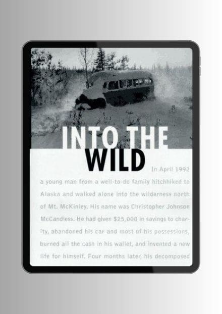 into-the-wild-cover