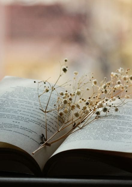 book-cover