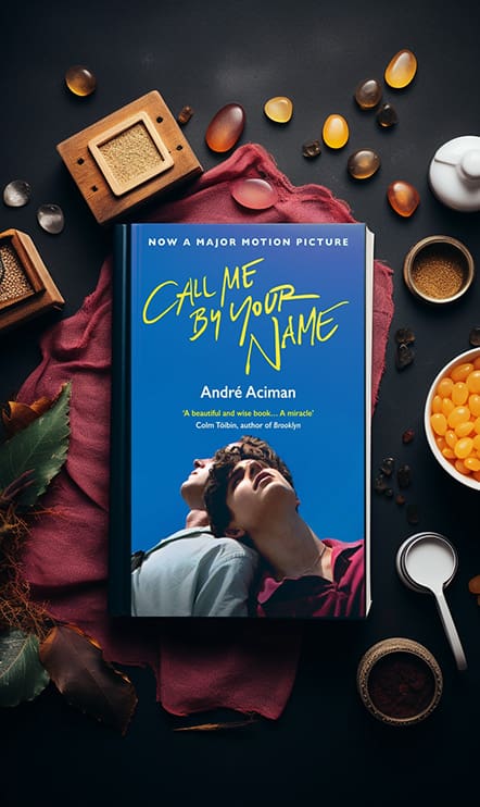 Call Me By Your Name book cover