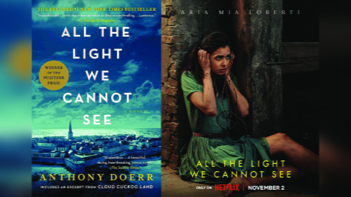 All The Light We Cannot See adaptation