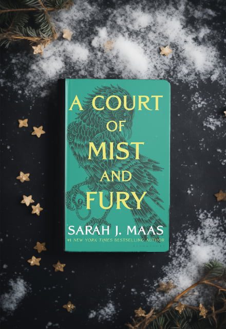a court of mist and fury book