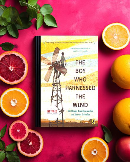 The Boy Who Harnessed The Wind by William Kamkwamba and Bryan Mealer book