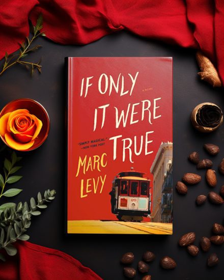 if-only-it-were-true-marc-levy-book
