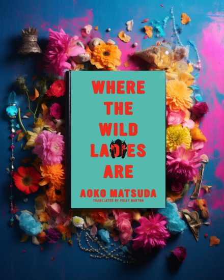 Where The Wild Ladies Are by Aoko Matsuda book