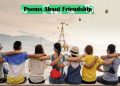 poems about friendship feature