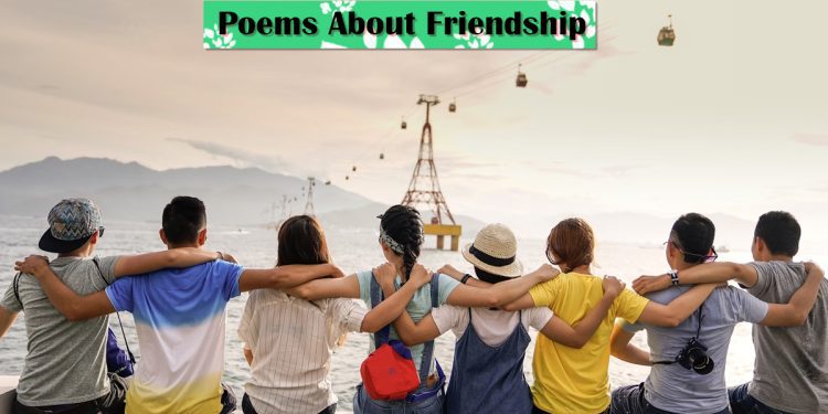 poems about friendship feature