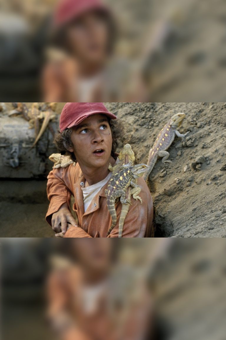 Digging Into Holes: Comparing The Novel And Film Versions