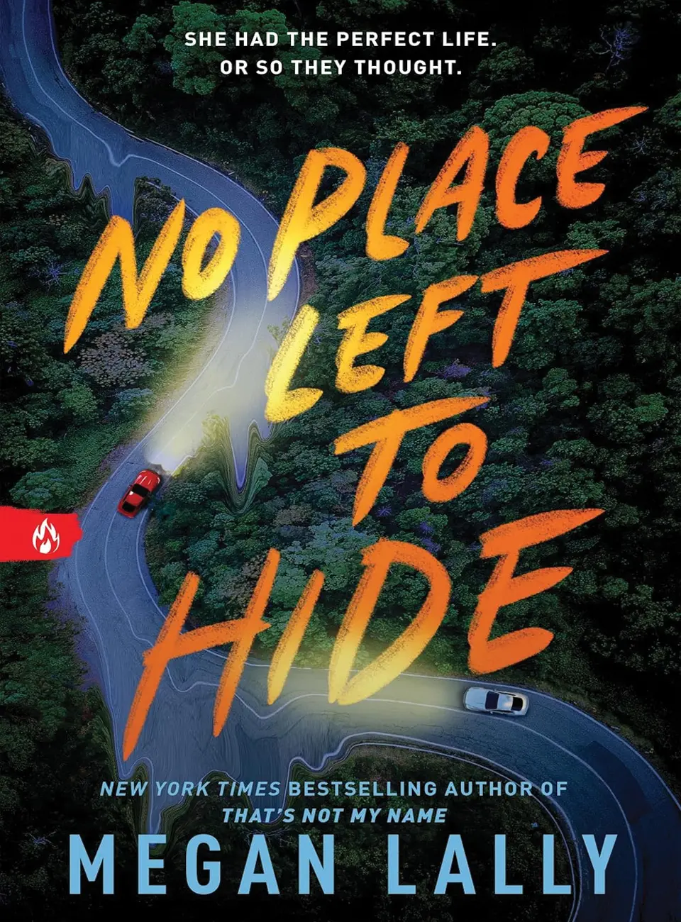 No Place Left to Hide by Megan Lally