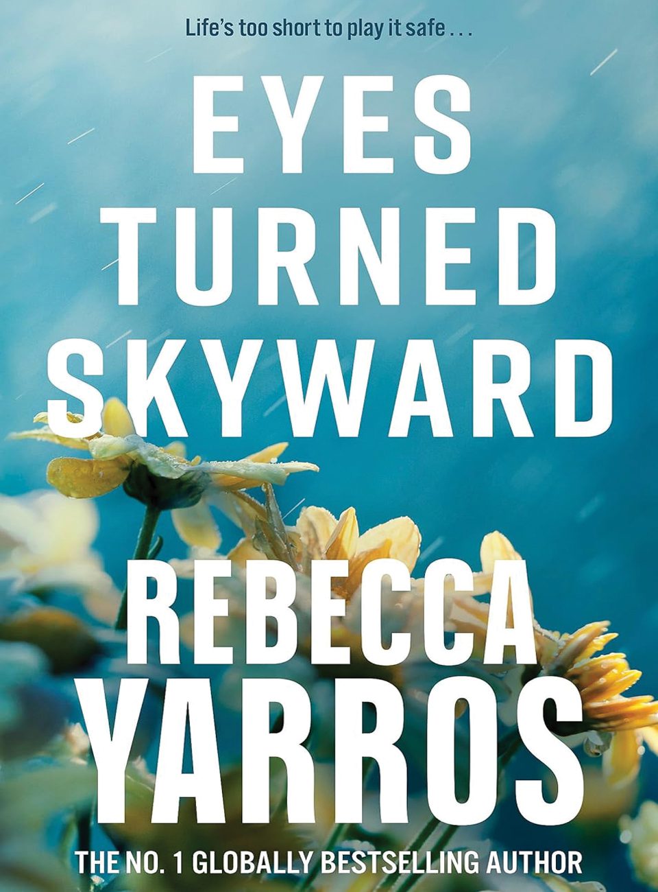 Eyes Turned Skyward by Rebecca Yarros