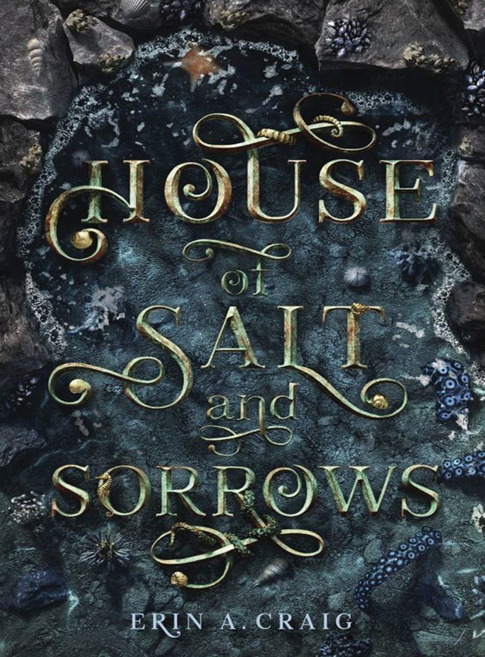 House of Salt and Sorrows by Erin A. Craig