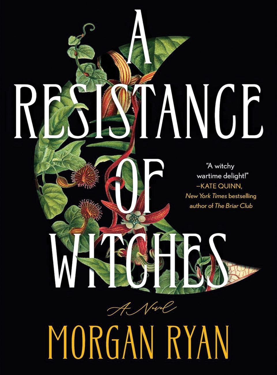 A Resistance of Witches by Morgan Ryan
