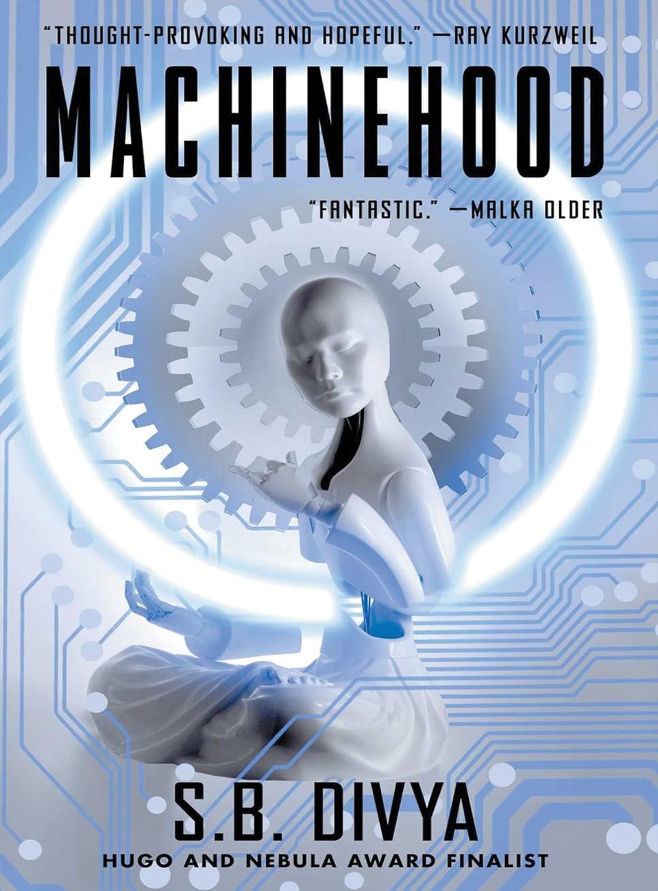 Machinehood by SB Divya