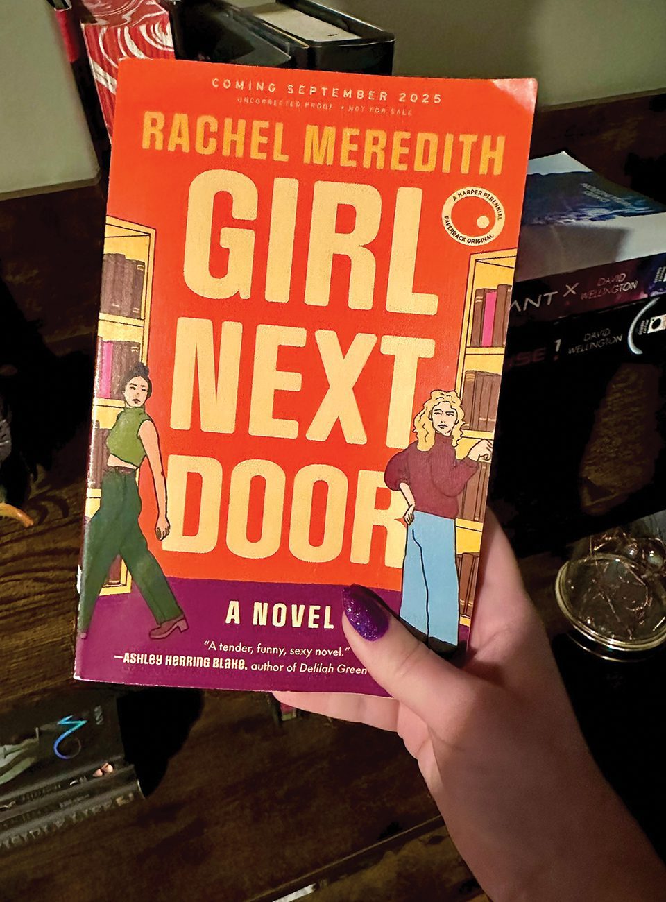 girl next door by rachel meredith