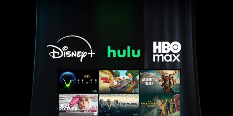 hulu books based tv show feature