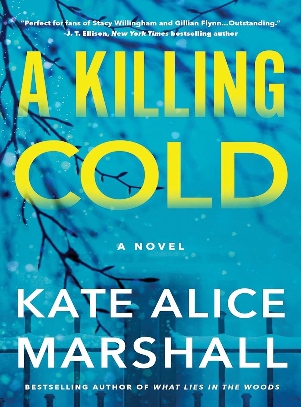 A Killing Cold by Kate Alice Marshall