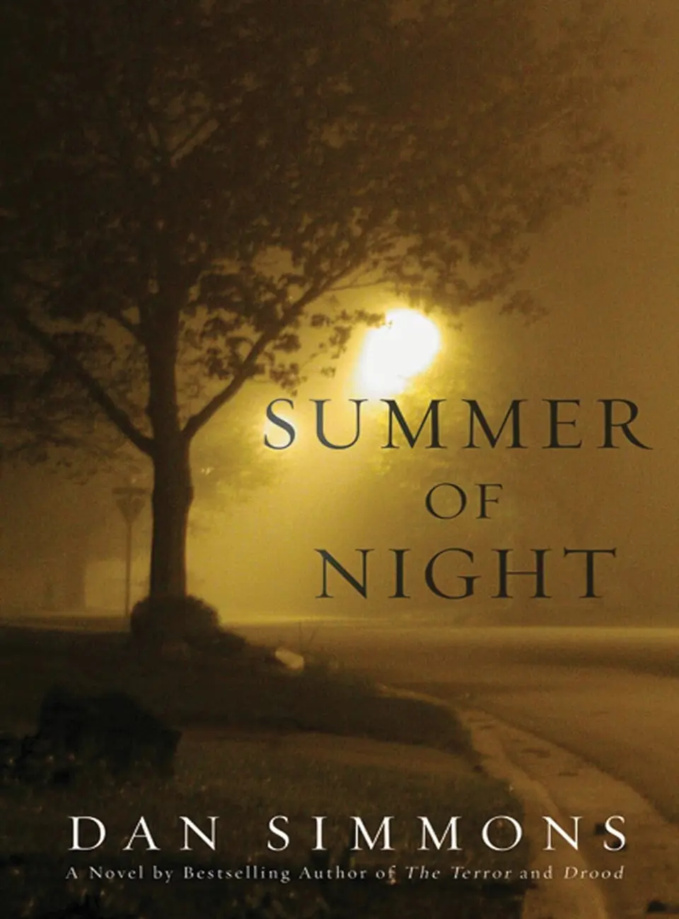 Summer of Night by Dan Simmons