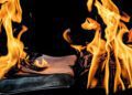 burning and banning books feature