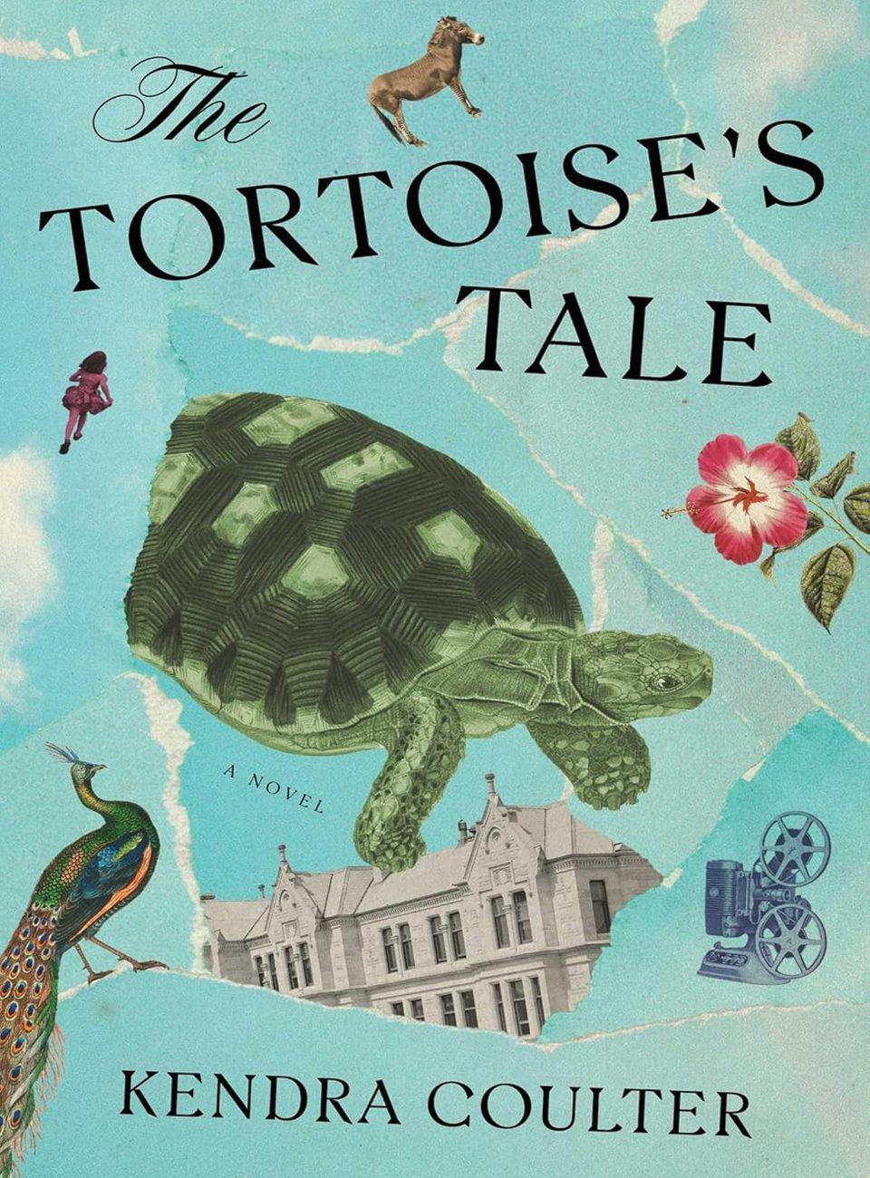 The Tortoises Tale by Kendra Coulter