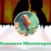Romance Microtropes feature