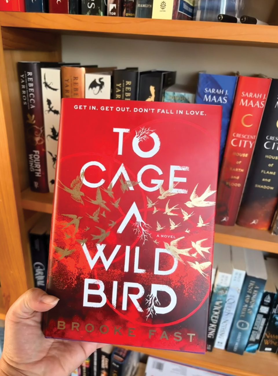 to cage a wild bird by brooke fast